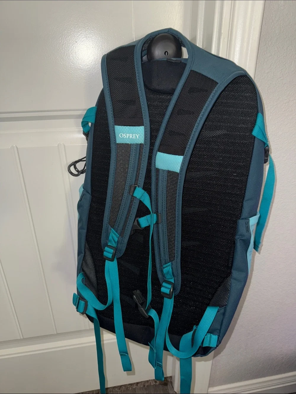 OSPREY Teal and Dark Teal Backpack - Daypack Day Lite Plus
